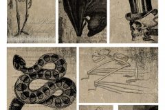 katecrafts_com_freebie_64